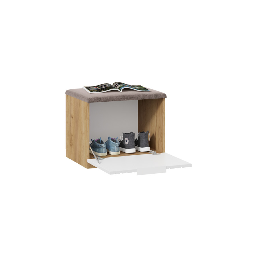 Тумба для обуви «Хилтон» Исп.2.1 - 303.005.000 Дуб Крафт золотой, Белый матовый